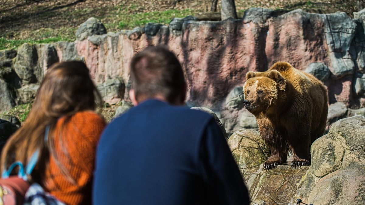 Zoo nás vyhodila neprávem, tvrdí bývalí zaměstnanci. Podali žalobu